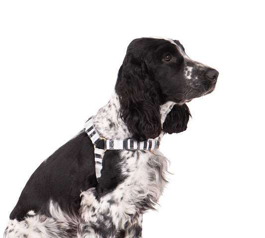 Hemp Dog Harness - Pebble Black Brush Stroke Print