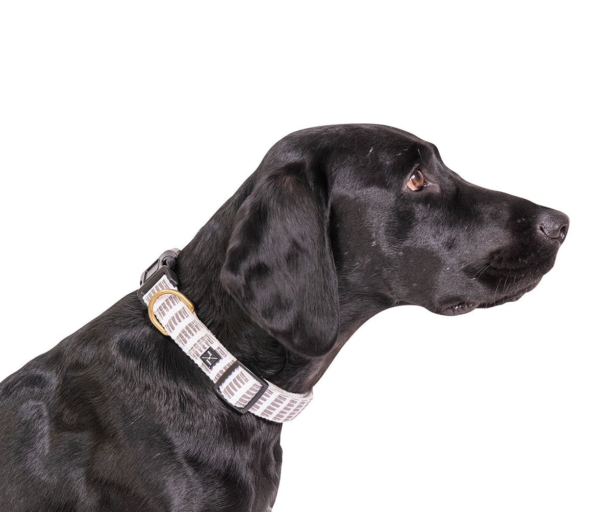 Hemp Dog Collar - Latte Mosaic Print