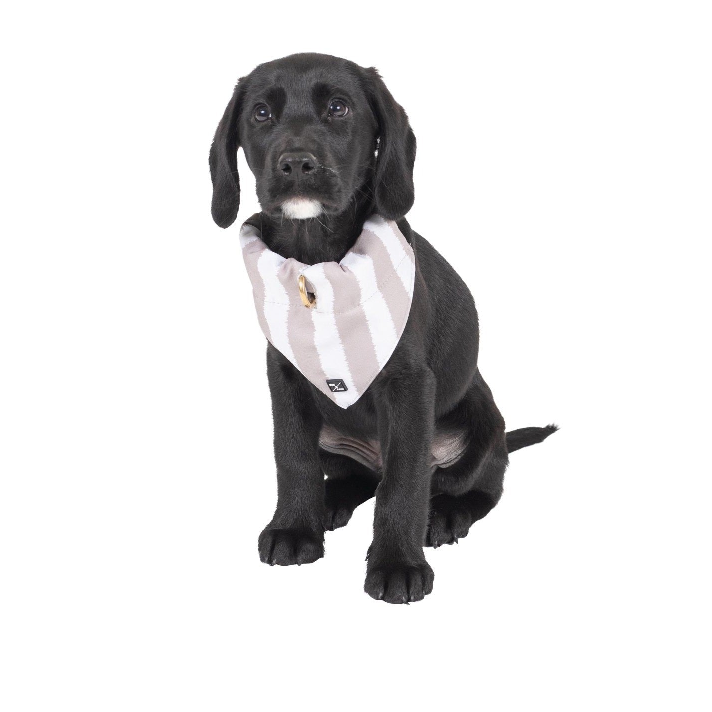 Mog and Bone Designer Dog Bandana - Latte Hamptons Stripe Print