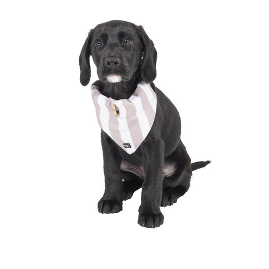 Mog and Bone Designer Dog Bandana - Latte Hamptons Stripe Print
