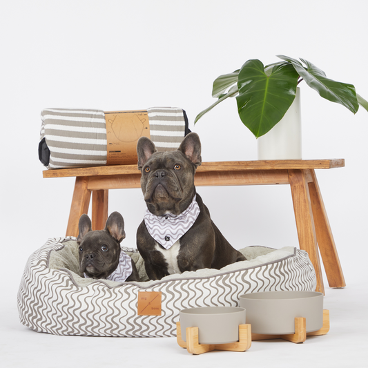 4 Seasons Reversible Circular Dog Bed - Mocha Wave Print