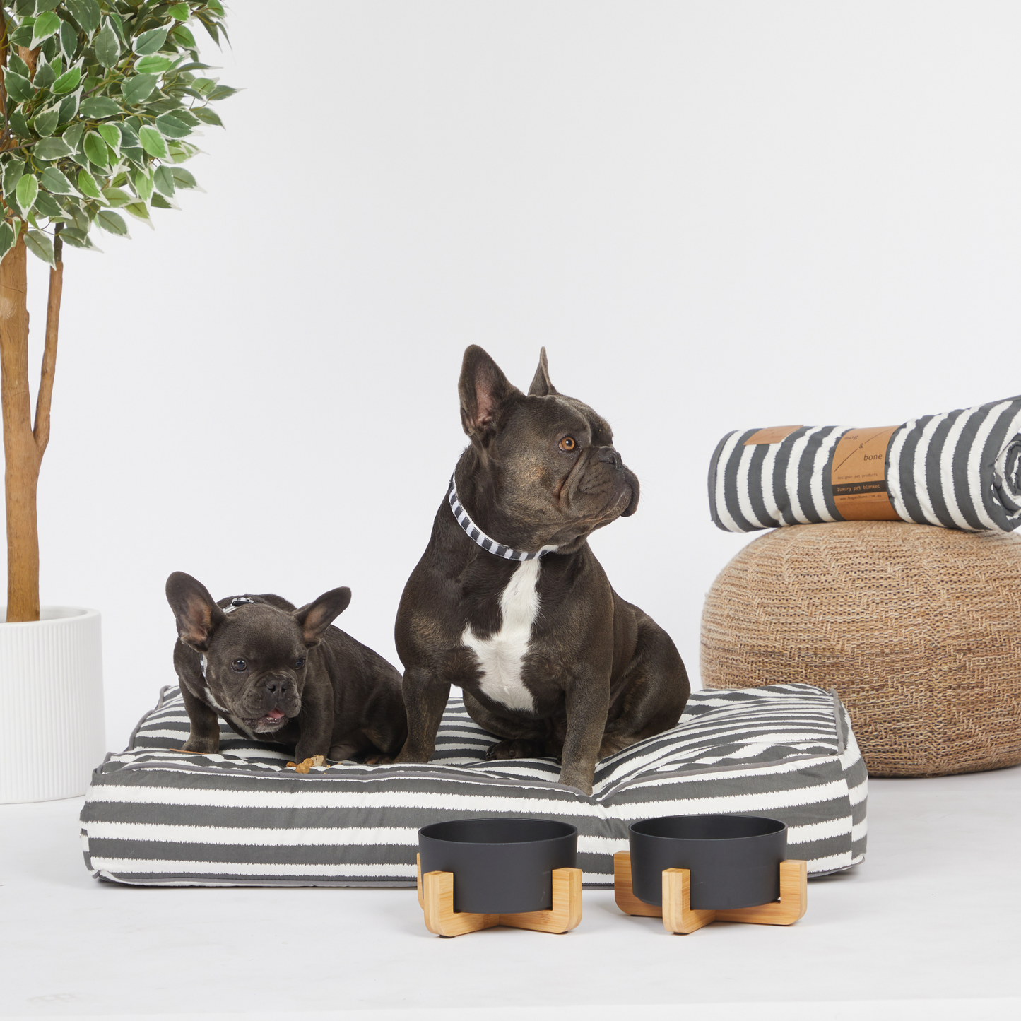 Cushion Dog Bed - Charcoal Hampton Stripe