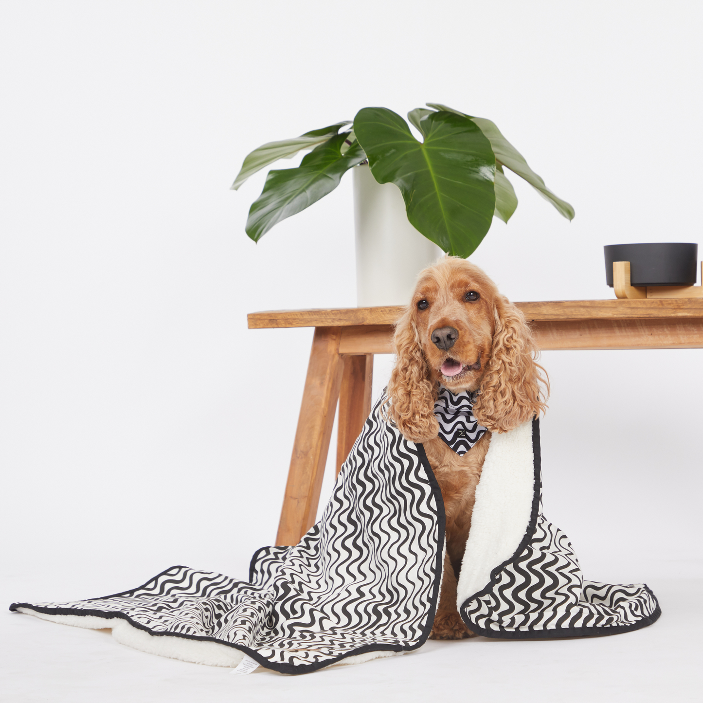 Pet Blanket with Fleece - Black Wave Print