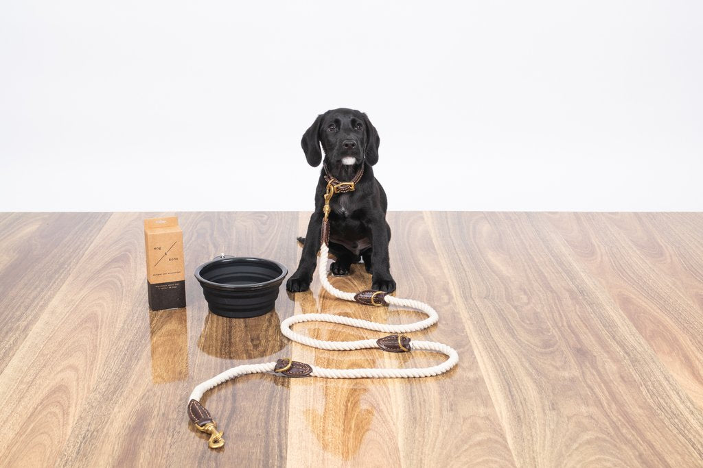 Rope Dog Lead (1.8m) - Multi Function with Leather & Brass Fittings  - Natural