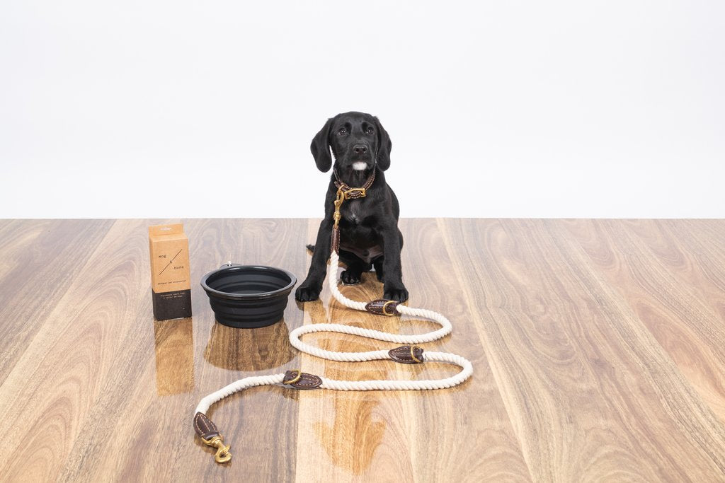 Rope Dog Lead (1.8m) - Multi Function with Leather & Brass Fittings - Natural