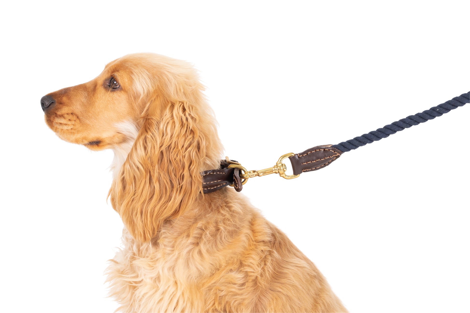 Mog and Bone Classic Rope Dog Lead (1.2m) and Rope Dog Collar - Navy