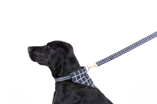 Neoprene Dog Lead - Navy Check