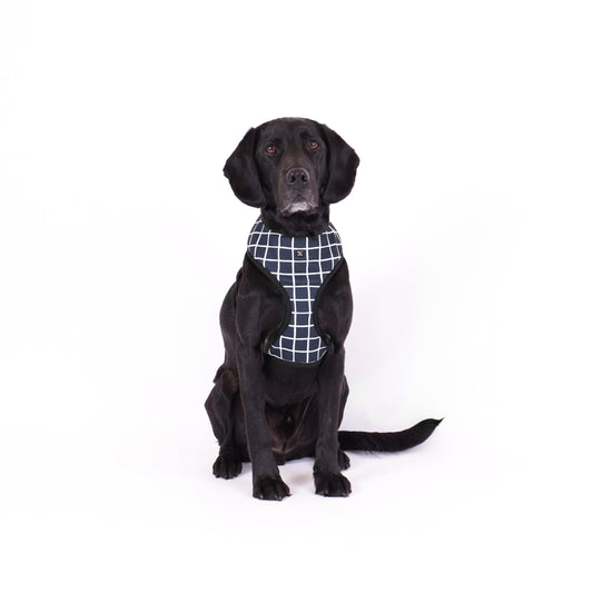 Neoprene Dog Harness - Navy Check