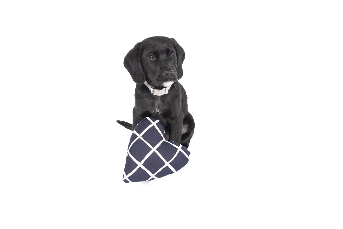 Heart Shaped Soft Dog Toy - Navy Check Print