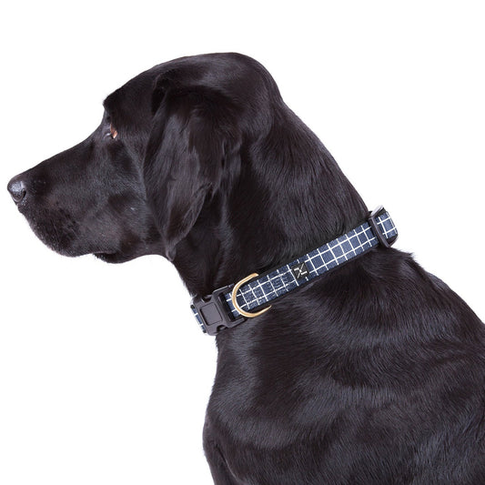 Neoprene Dog Collar - Navy Check