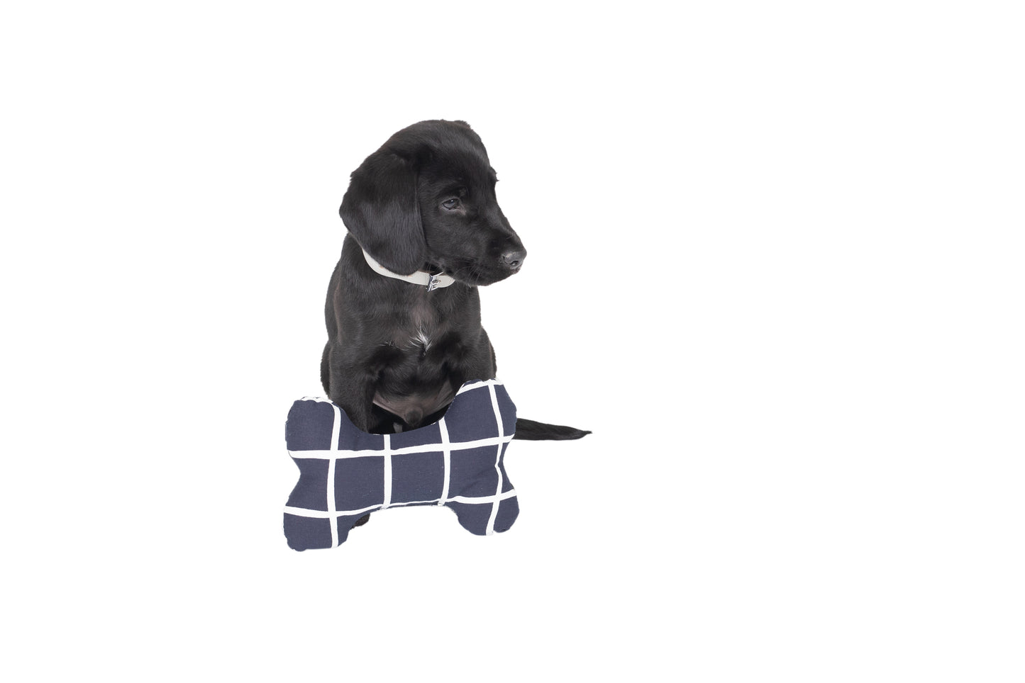 Toy - Bone Shape, soft - Navy Check Print
