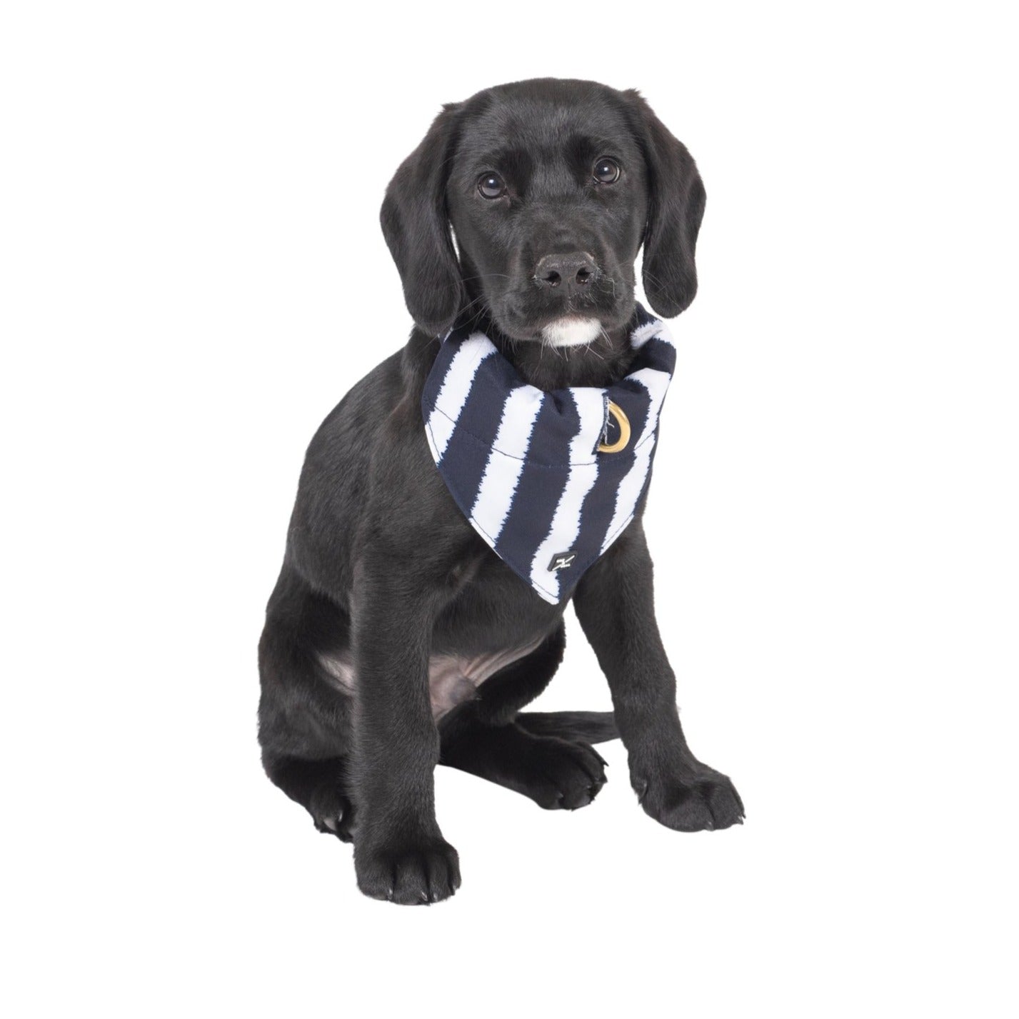 Mog and Bone Designer Dog Bandana - Navy Hamptons Stripe Print