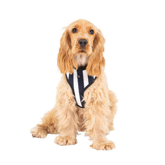 Neoprene Dog Harness - Navy Hamptons Stripe