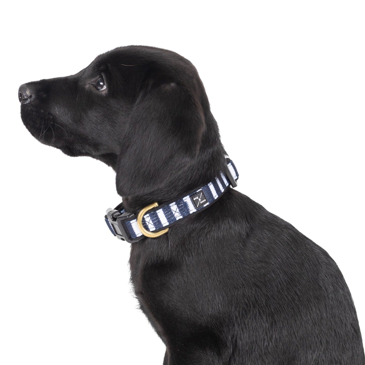 Neoprene Dog Collar - Navy Hamptons Stripe