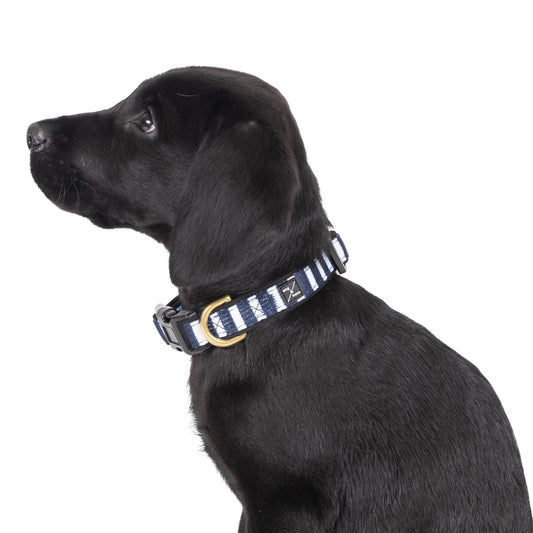 Neoprene Dog Collar - Navy Hamptons Stripe
