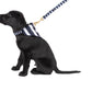 Neoprene Dog Lead - Navy Hamptons Stripe