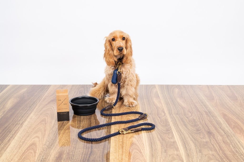 Rope Dog Lead (1.8m) - Multi Function with Leather & Brass Fittings - Navy