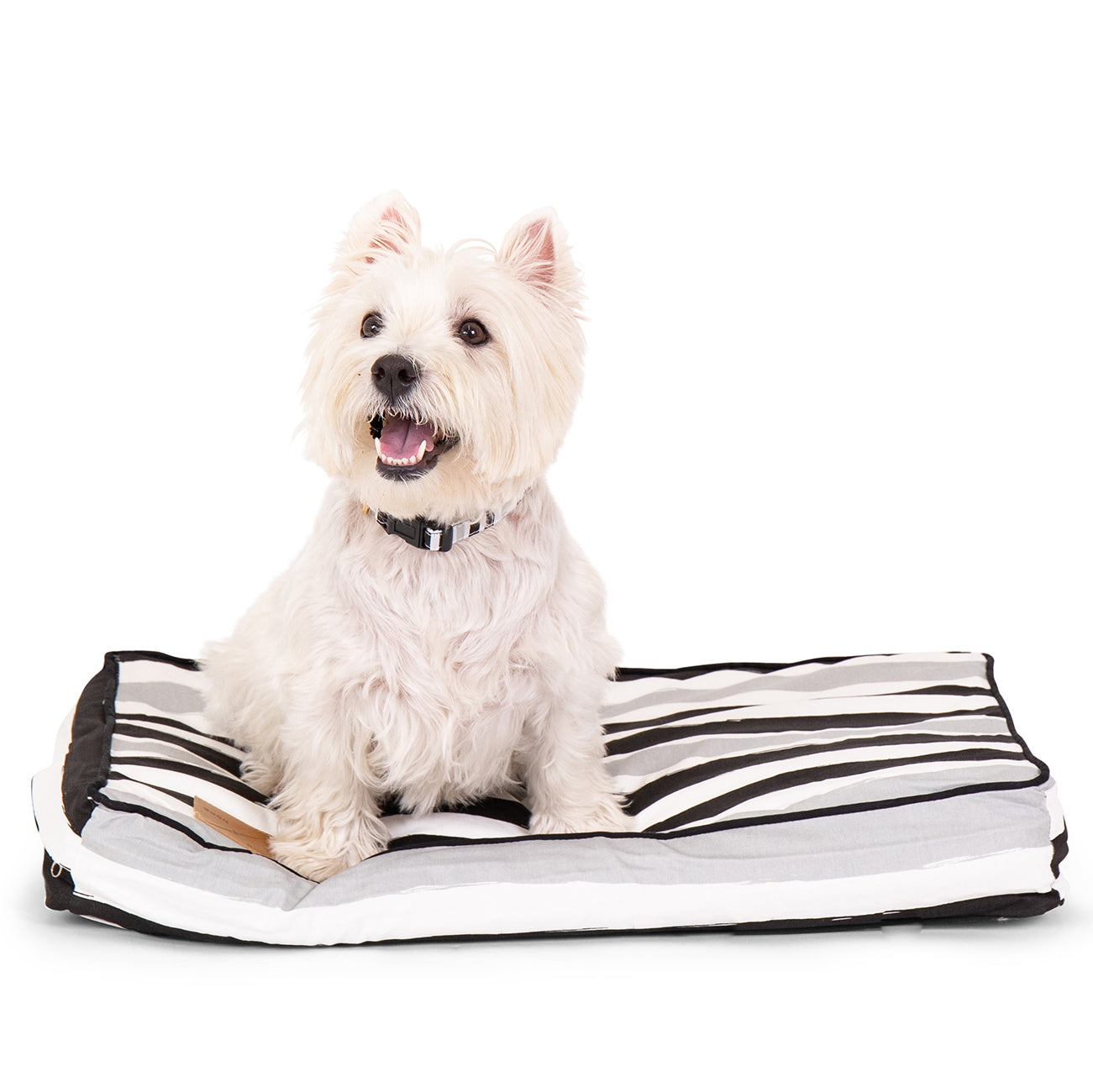 Mog and Bone Classic Cushion Dog Bed - Pebble Black Brush Stroke Print