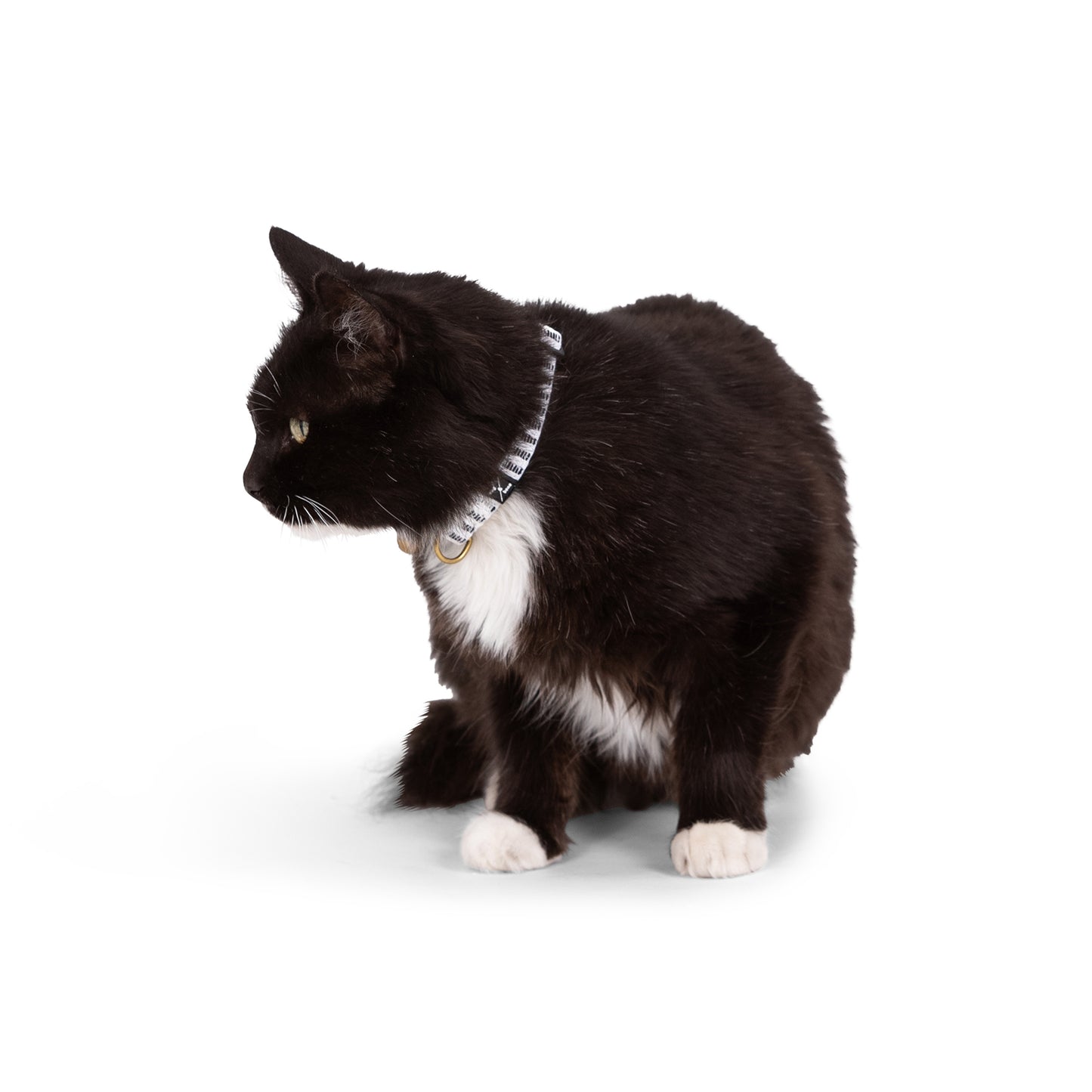 Cat Collar - Hemp - Black Mosaic Print