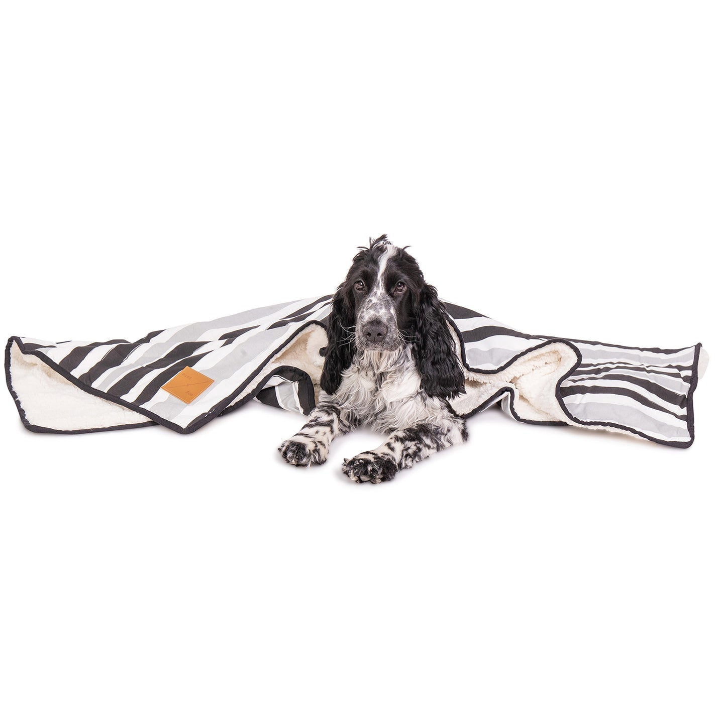 Mog and Bone Designer Dog Fleece Blanket - Pebble Black Brush Stroke Print