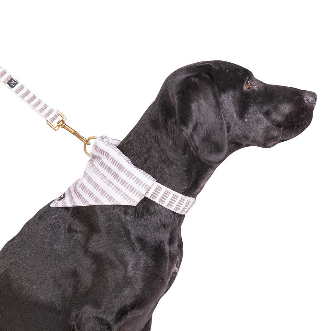 Mog and Bone Dog Accessories Banadana - Latte Mosaic Print