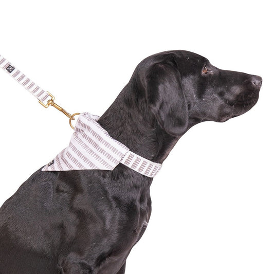 Mog and Bone Dog Accessories Banadana - Latte Mosaic Print