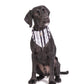 Mog and Bone Designer Dog Bandana - Pebble Black Brush Stroke Print