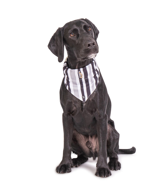 Mog and Bone Designer Dog Bandana - Pebble Black Brush Stroke Print