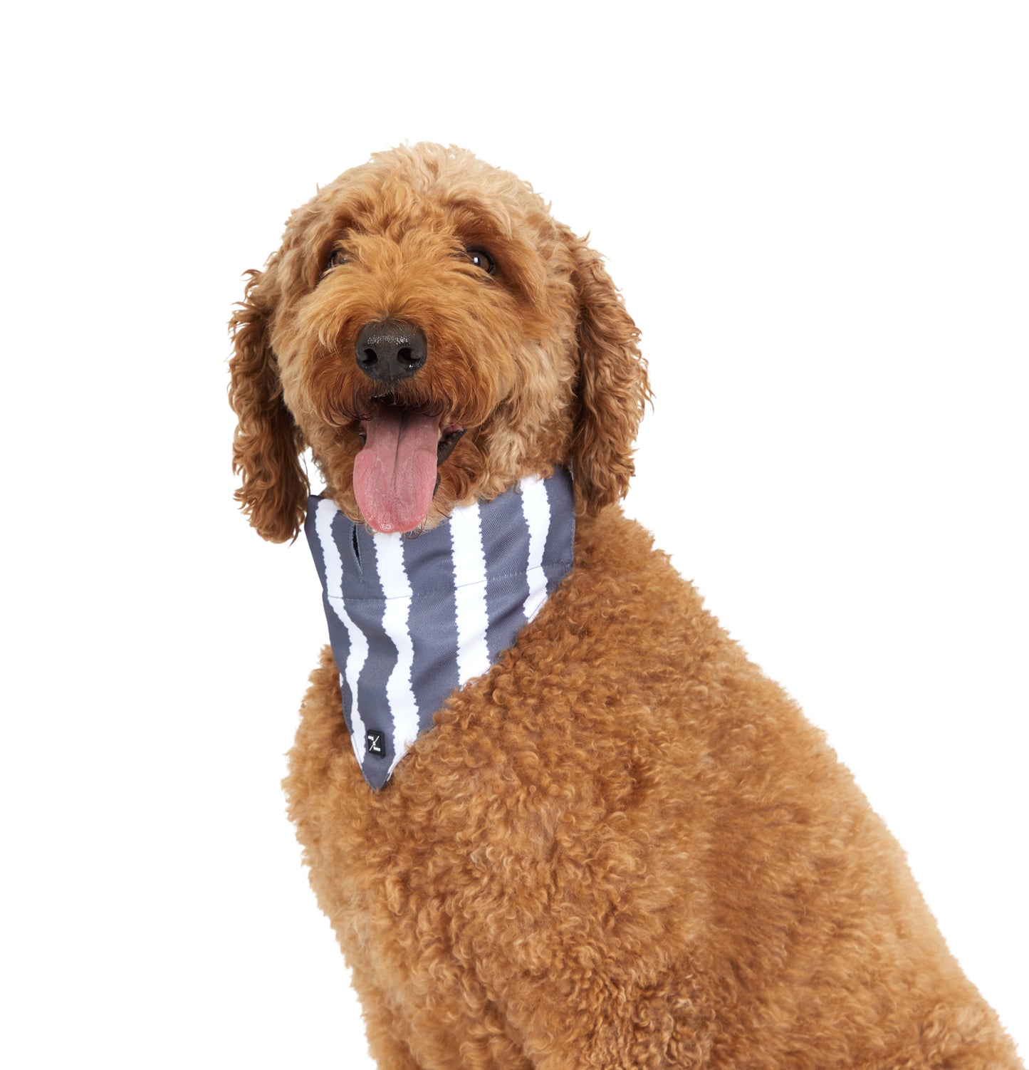 Mog and Bone Designer Dog Bandana - Charcoal Hamptons Stripe