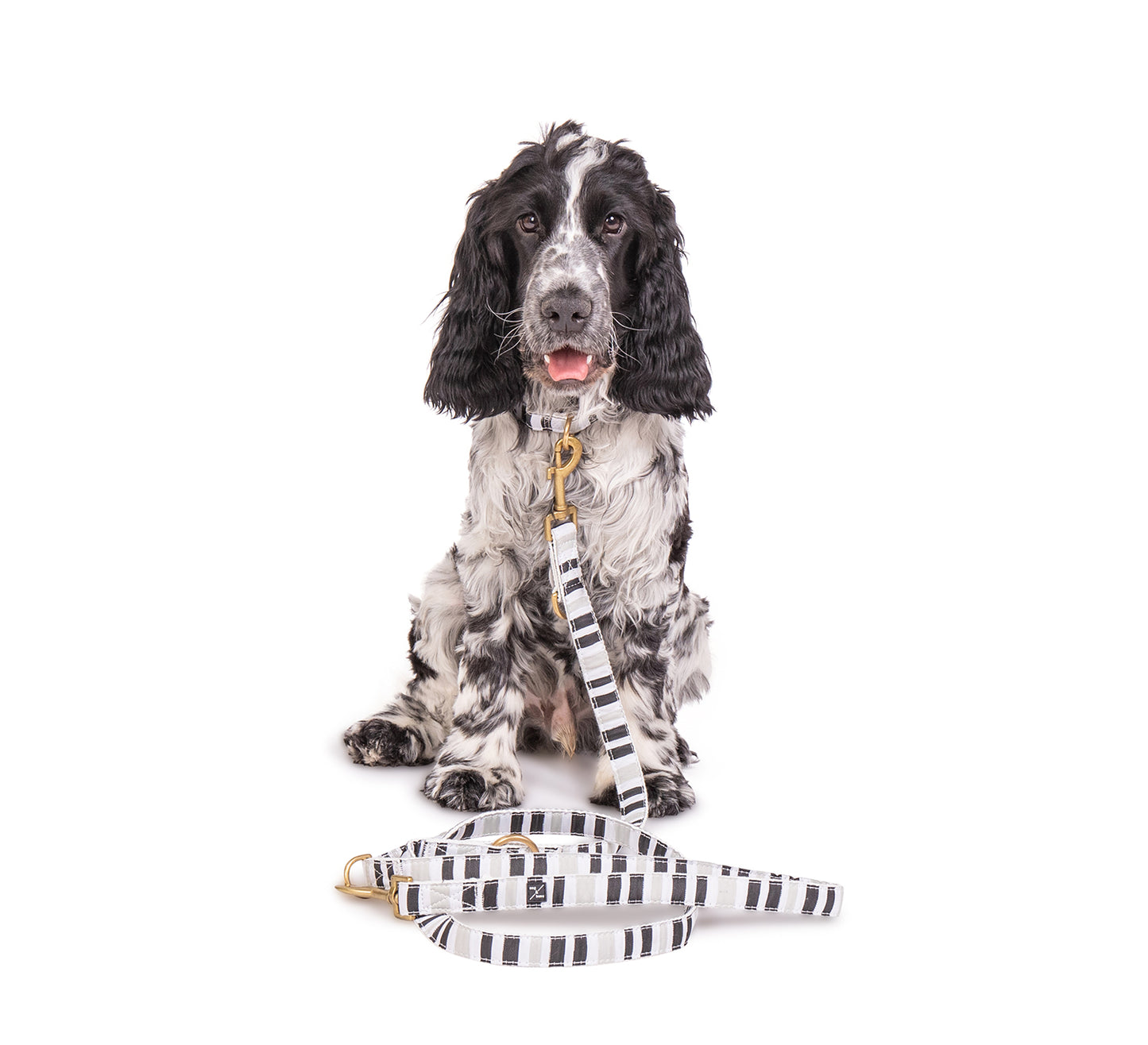 Hemp Dog Lead - Multi Function with Leather & Brass Fittings - Pebble Brush Stroke Print
