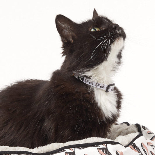 Cat Collar - Hemp - Shadow Quartz Print