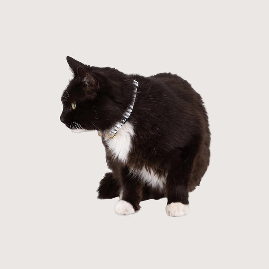 Cat Collar - Hemp - Black Mosaic Print