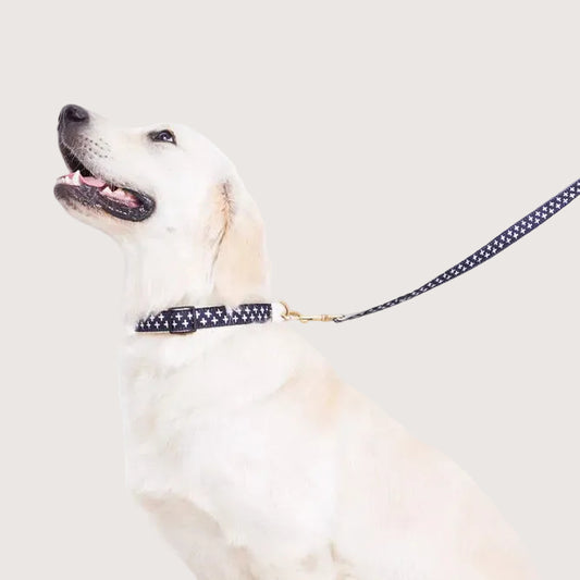 Hemp Dog Collar - Navy Cross Print