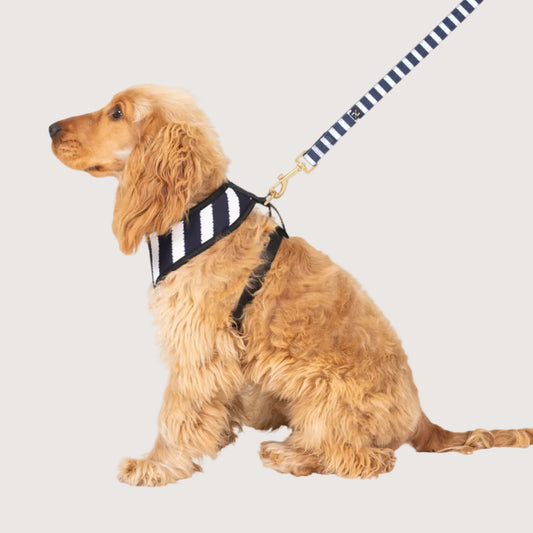 Neoprene Dog Harness - Navy Hamptons Stripe