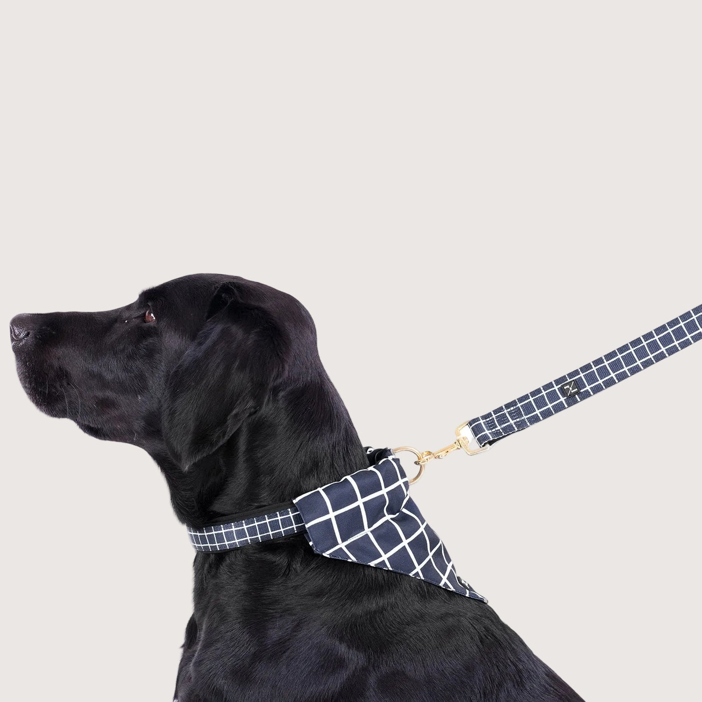 Neoprene Dog Lead - Navy Check Print