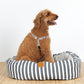 Mog & Bone 4 Seasons Reversible Circular Dog Bed and Dog Harness - Charcoal Hamptons Stripe Print