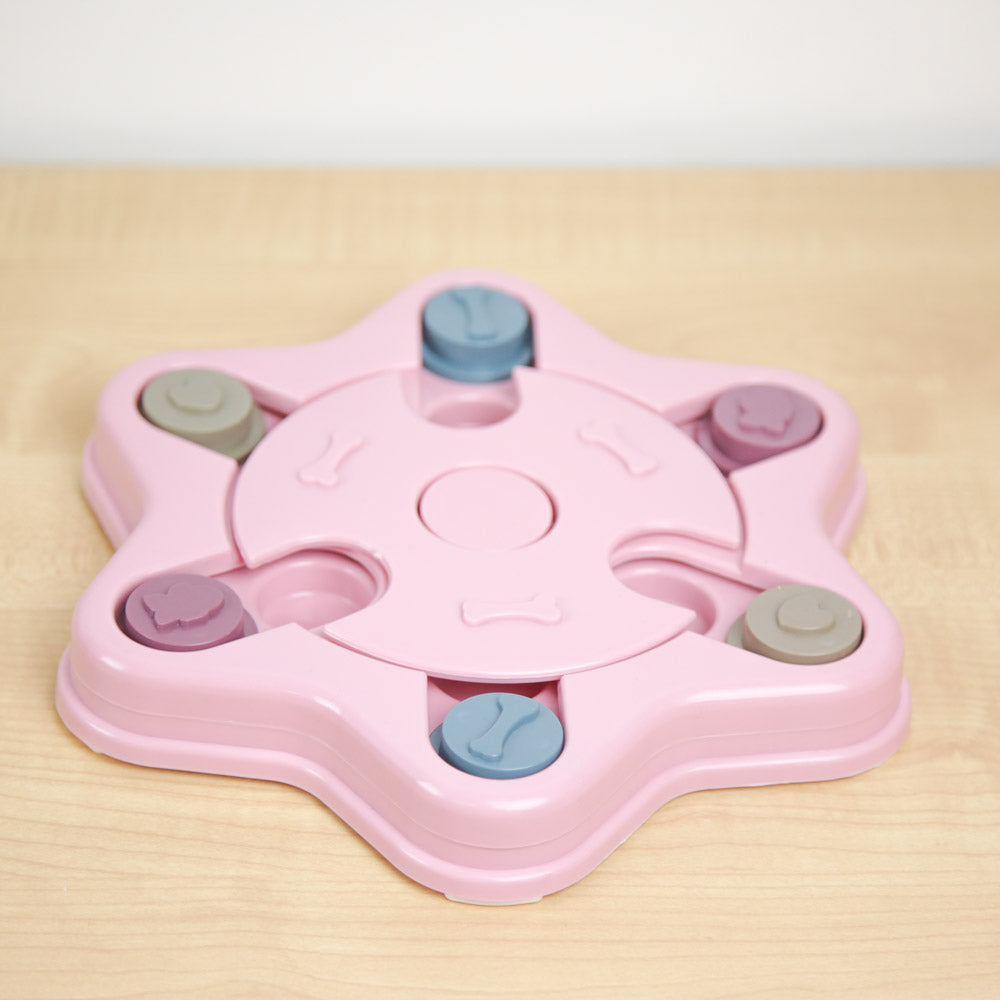 Puzzle Feeder Dog Toy - Hexagon