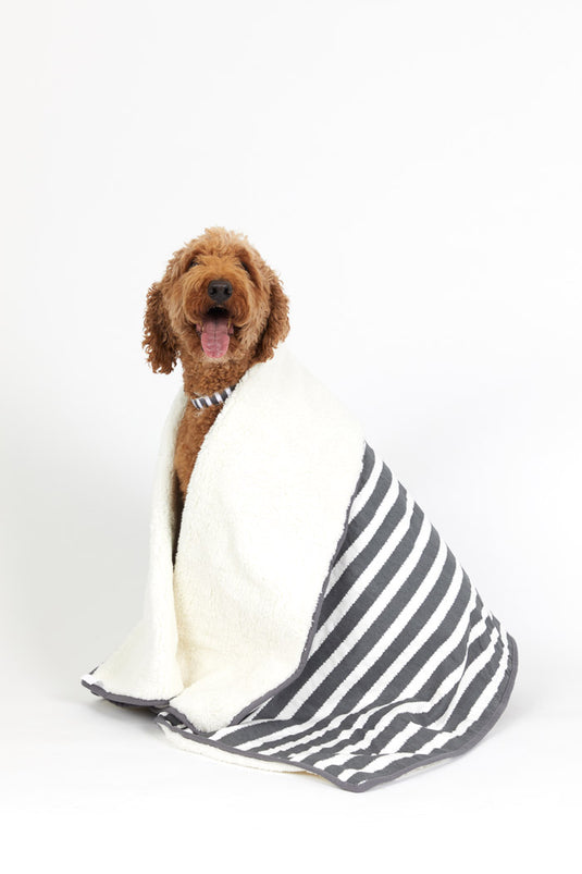 Mog & Bone | Designer Pet Beds and Accessories