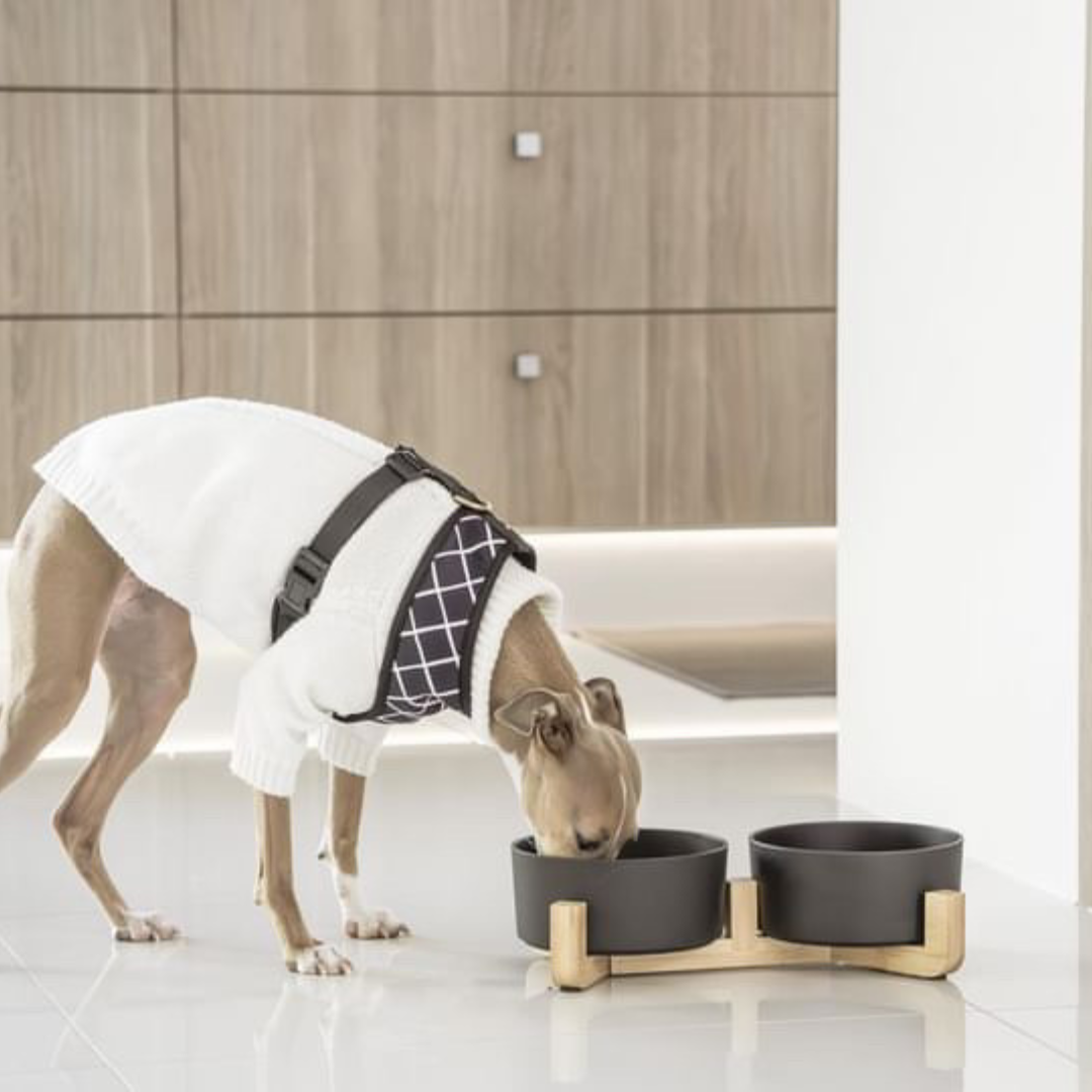 Dog Bowls & Accessories