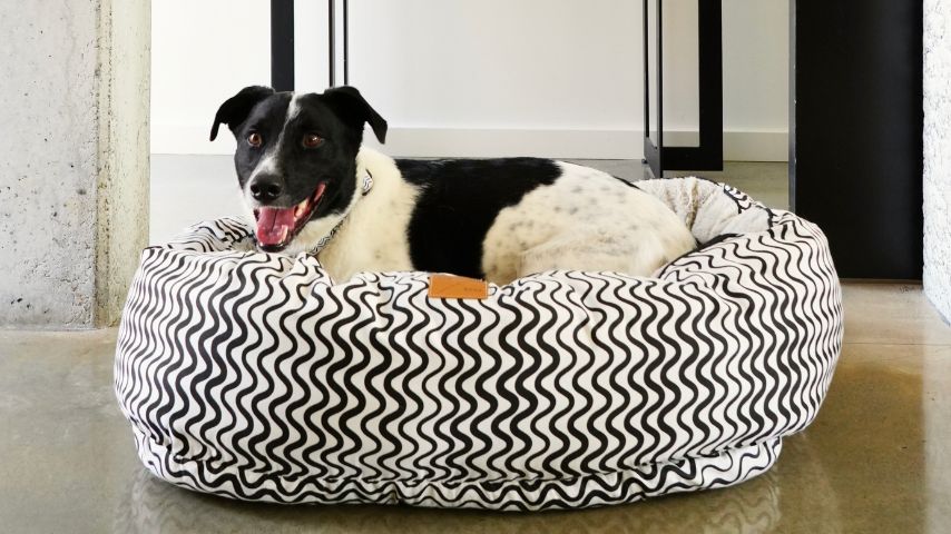 Four Seasons Reversible Circular Dog Beds