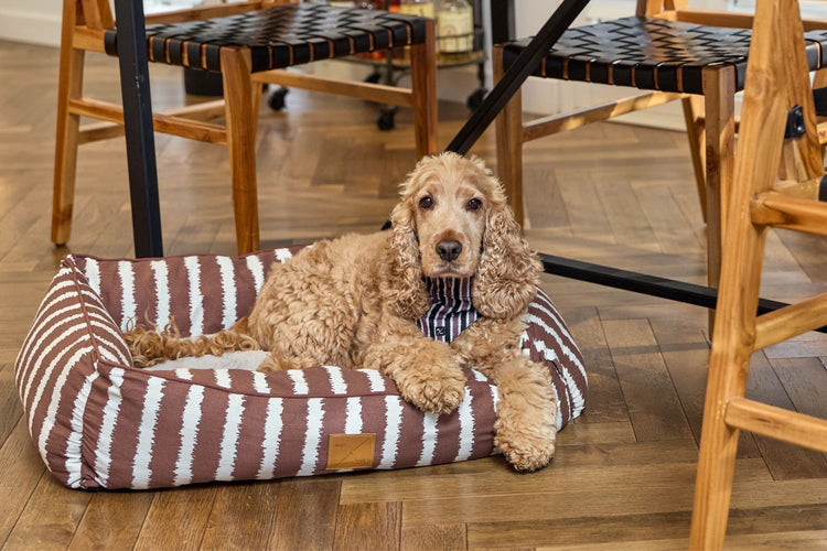 Bolster Dog Beds