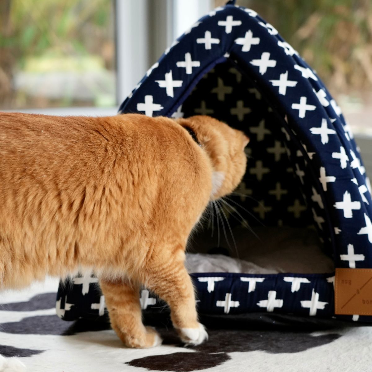 Cat Igloo