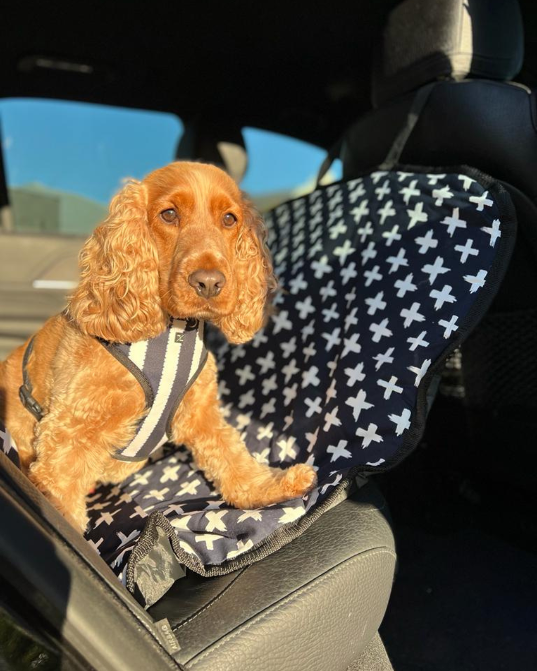 Dog Car Seat Cover - Navy Cross
