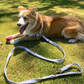 Hemp Dog Lead - Multi Function with Leather & Brass Fittings  - Mocha Wave