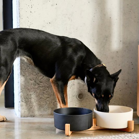 Bamboo Dog Bowls - Double with Stand - Black