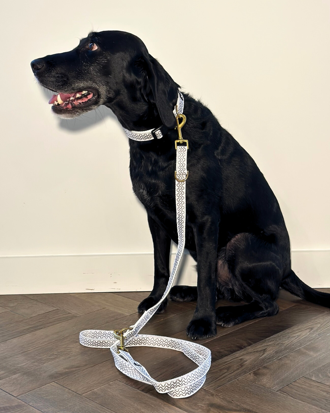 Hemp Dog Lead - Multi Function with Leather & Brass Fittings  - Mocha Wave