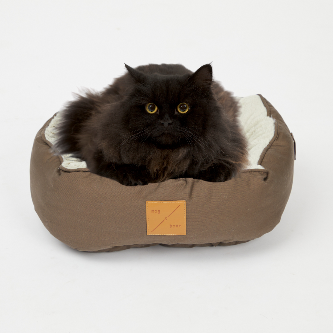 Reversible Cat Bed- Mocha