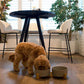 Bamboo Dog Bowls - Double with Stand - Mocha