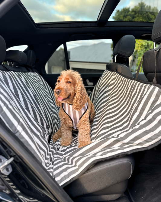 Dog Car Seat Cover - Charcoal Hampton Stripe