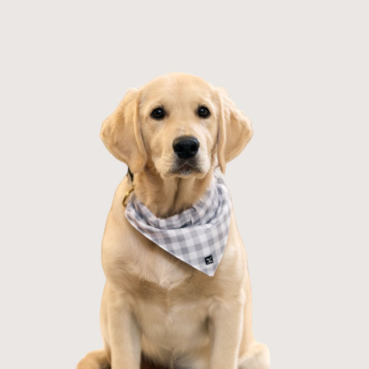 Dog Bandana - Grey Gingham Print
